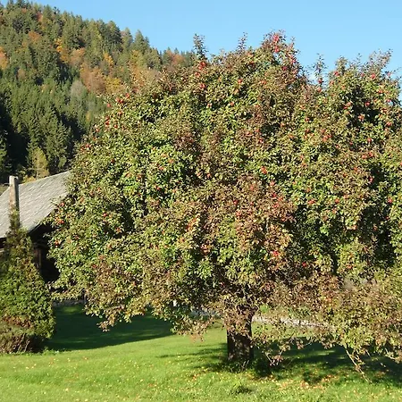 Marienhof *